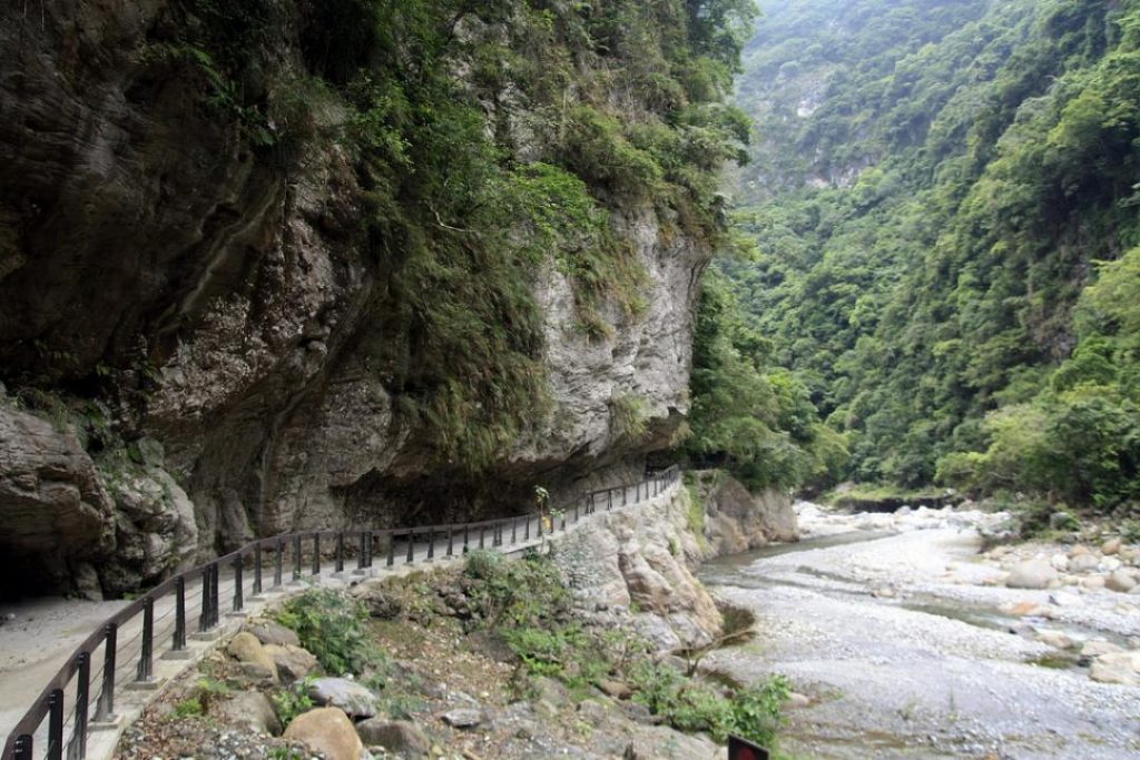 花東包車,花東包車一日遊,花蓮包車,花蓮包車旅油,花蓮包車一日遊行程,東部海岸,花東縱谷包車旅遊,浪漫金針山包車之旅,金針花海,芭崎瞭望台,玉里赤柯山