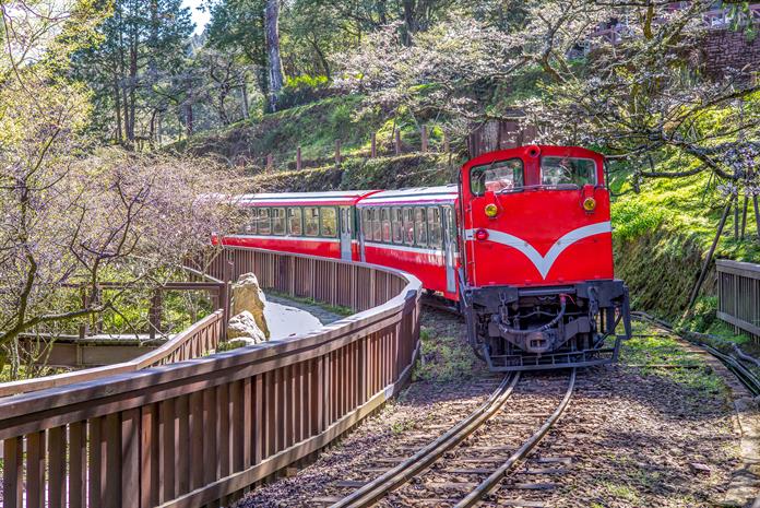 阿里山包車旅遊、阿里山包車自由行推薦