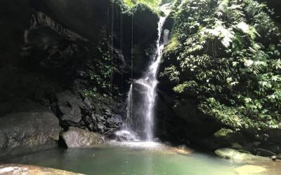 台灣包車旅遊私房秘境、蝙蝠洞、情人湖、黃金瀑布