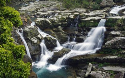 端午節包車、台北、苗栗兩天包車旅遊推薦