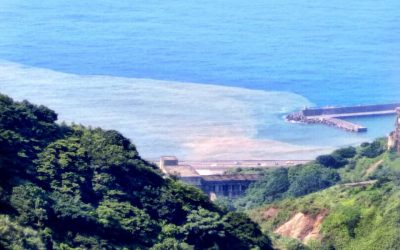 台灣環島包車旅遊、5天-8天包車旅遊行程推薦